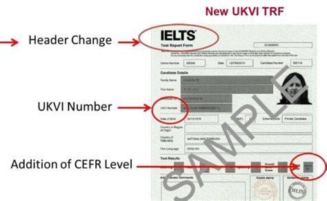ielts for ukvi|skills for english ukvi.